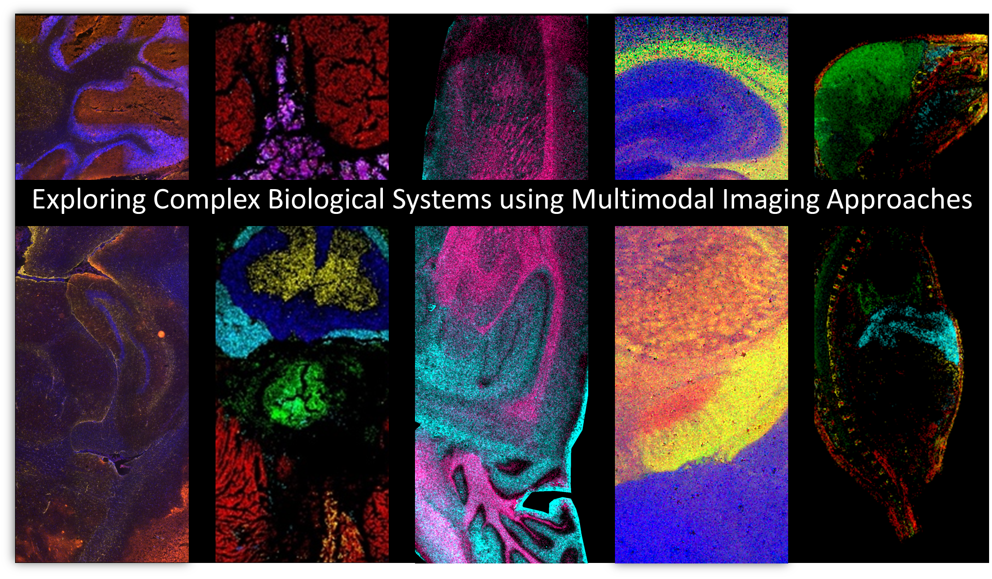 More Complete Picture Synonym